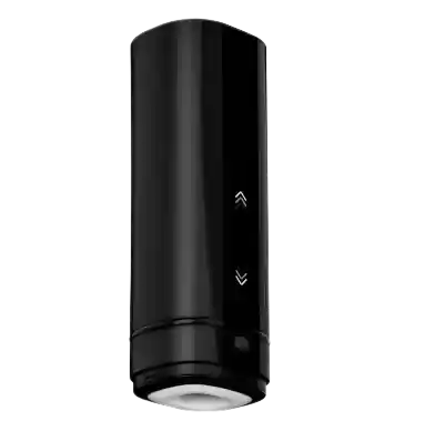 Kiiroo Onyx+